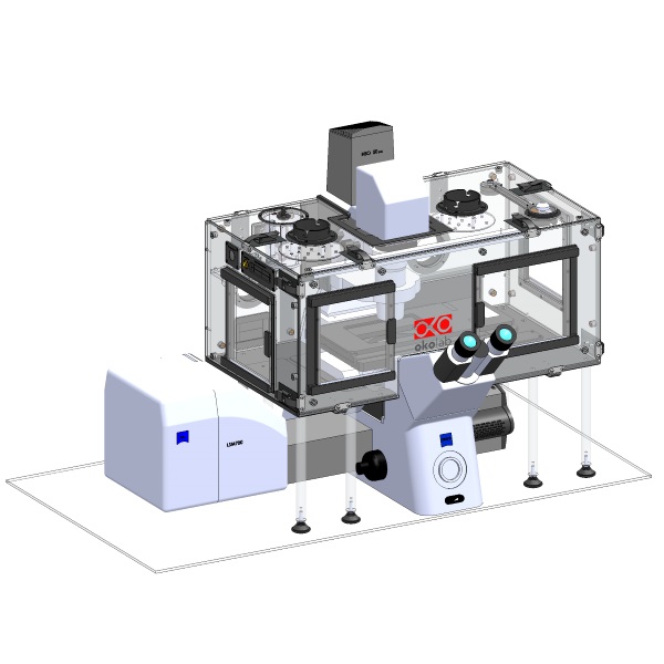 Zeiss Axiobserver Z1 - LSM700 Confocal-1.JPG