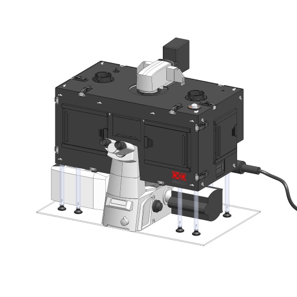 Nikon Ti - Confocal A1R - 06.JPG